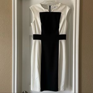 Calvin Klein Sheath Dress